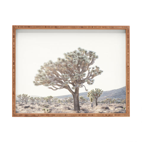 Bree Madden Desert Light Rectangular Tray