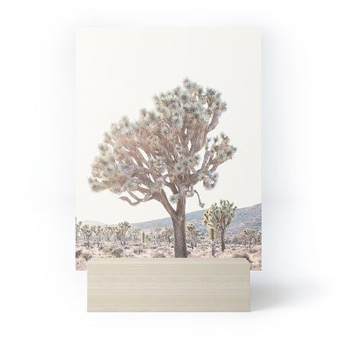 Bree Madden Desert Light Mini Art Print