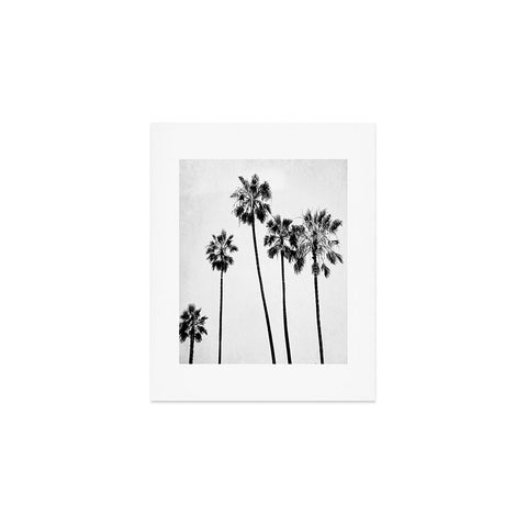 Bree Madden Five Palms Art Print