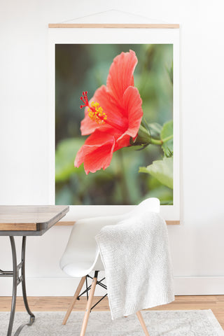 Bree Madden Hibiscus Art Print And Hanger
