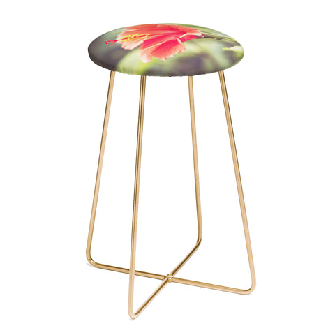 Bree Madden Hibiscus Counter Stool