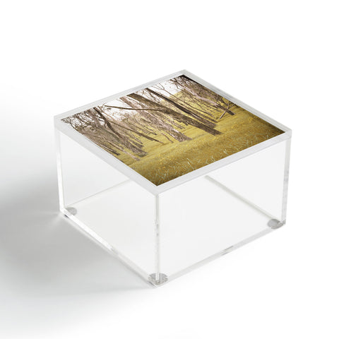 Bree Madden In The Trees Acrylic Box
