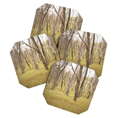 Bree Madden In The Trees Coaster Set