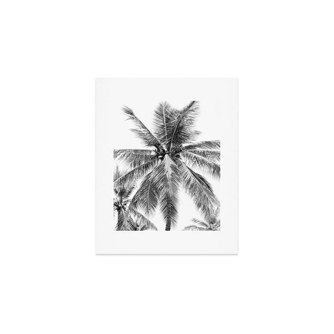 Bree Madden Island Palm Art Print