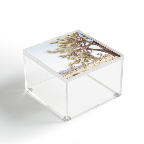 Bree Madden Joshua Acrylic Box