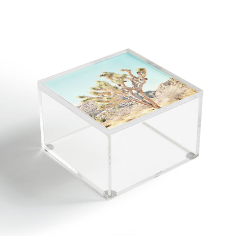 Bree Madden Joshua Wonders Acrylic Box