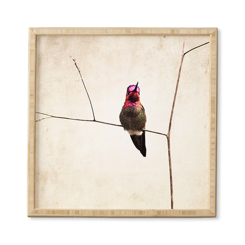 Bree Madden Little Hummingbird Framed Wall Art