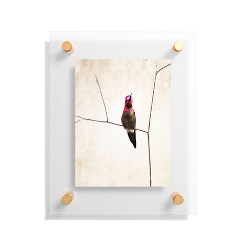Bree Madden Little Hummingbird Floating Acrylic Print