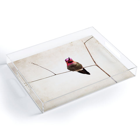 Bree Madden Little Hummingbird Acrylic Tray