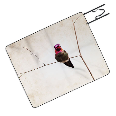 Bree Madden Little Hummingbird Picnic Blanket