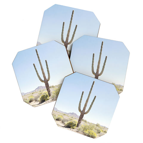 Bree Madden Lone Cactus Coaster Set