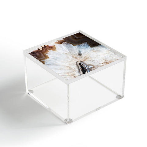 Bree Madden Natural Wonders Acrylic Box