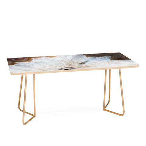 Bree Madden Natural Wonders Coffee Table