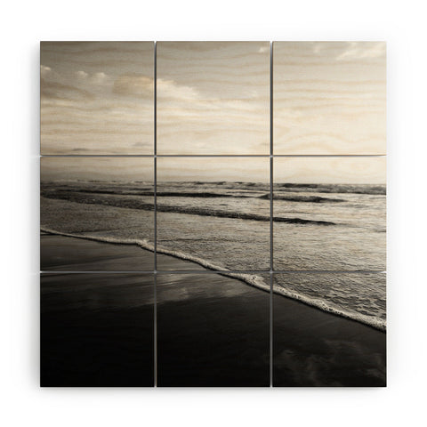 Bree Madden Ombre Black Wood Wall Mural