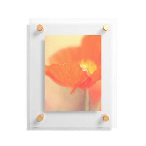 Bree Madden Orange Bloom Floating Acrylic Print