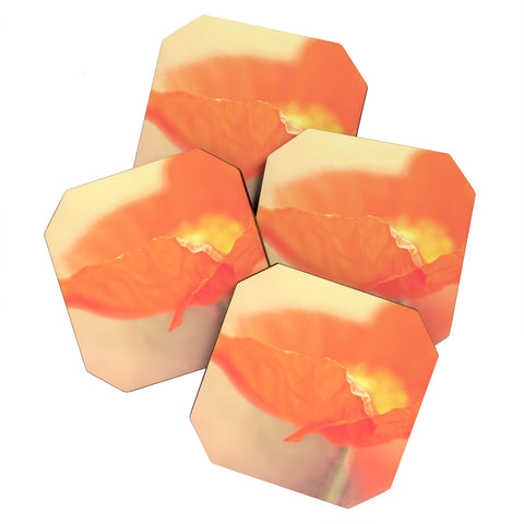 Bree Madden Orange Bloom Coaster Set