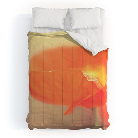 Bree Madden Orange Bloom Comforter