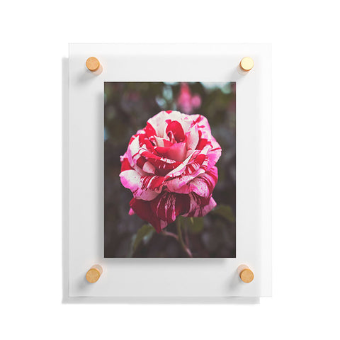 Bree Madden Painting Roses Red Floating Acrylic Print