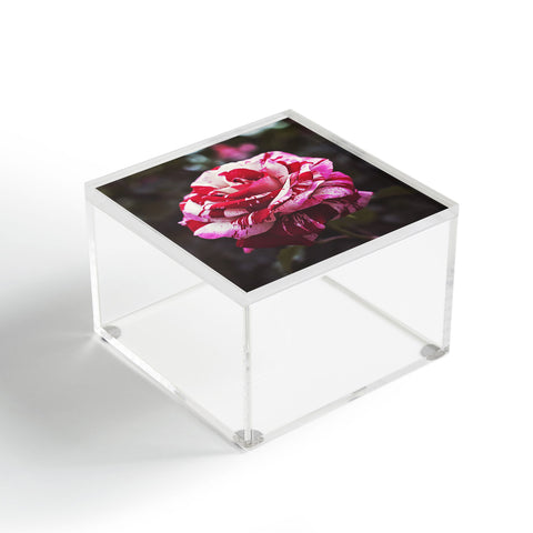Bree Madden Painting Roses Red Acrylic Box