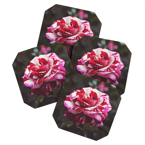 Bree Madden Painting Roses Red Coaster Set