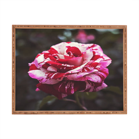 Bree Madden Painting Roses Red Rectangular Tray