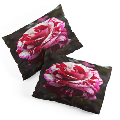 Bree Madden Painting Roses Red Pillow Shams