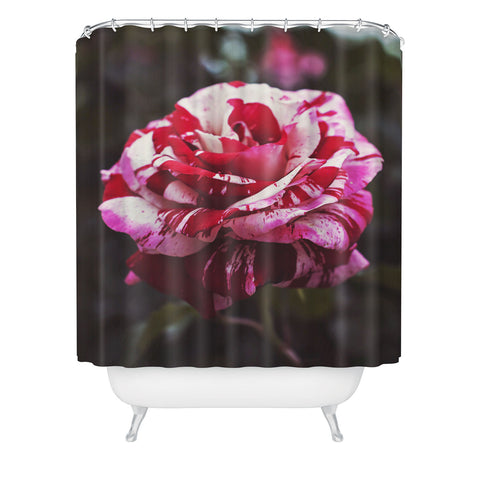 Bree Madden Painting Roses Red Shower Curtain