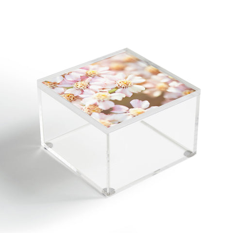 Bree Madden Pale Bloom Acrylic Box