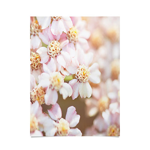 Bree Madden Pale Bloom Poster