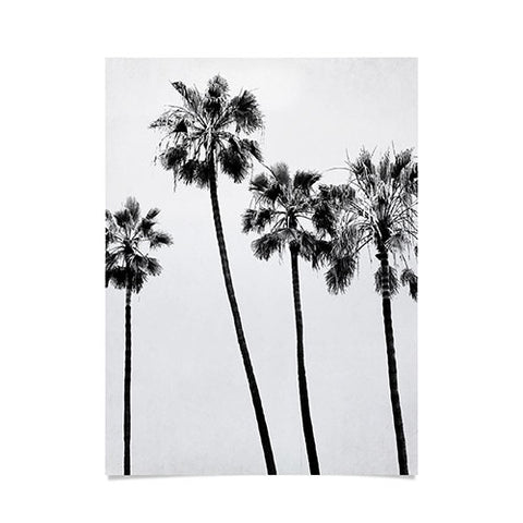 Bree Madden Palm Trees BW Poster