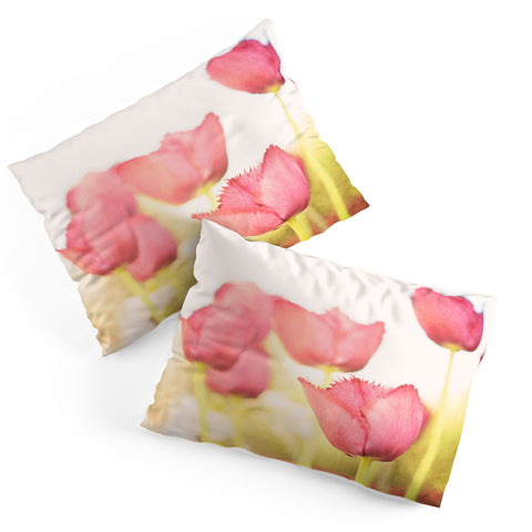 Bree Madden Pink Tulips Pillow Shams