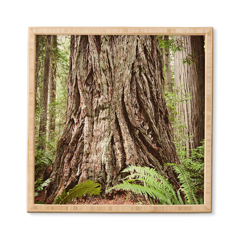 Bree Madden Redwood Trees Framed Wall Art