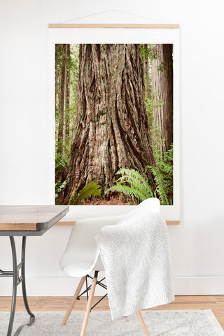 Bree Madden Redwood Trees Art Print And Hanger
