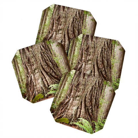 Bree Madden Redwood Trees Coaster Set