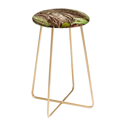 Bree Madden Redwood Trees Counter Stool
