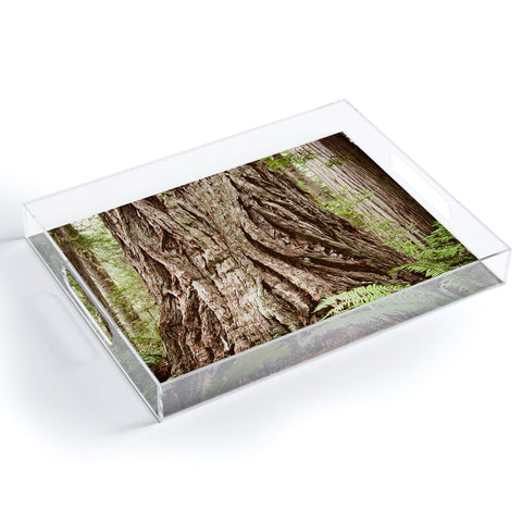 Bree Madden Redwood Trees Acrylic Tray