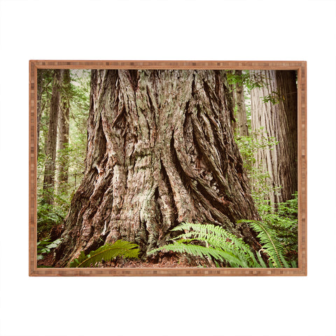 Bree Madden Redwood Trees Rectangular Tray