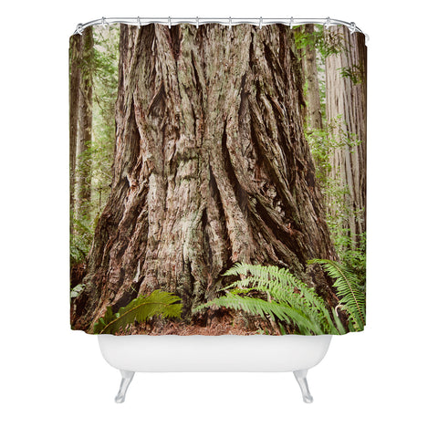 Bree Madden Redwood Trees Shower Curtain
