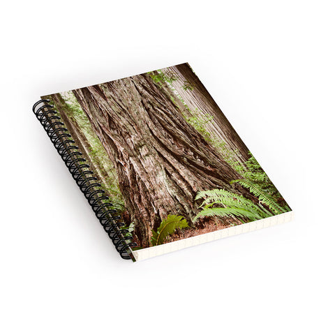 Bree Madden Redwood Trees Spiral Notebook