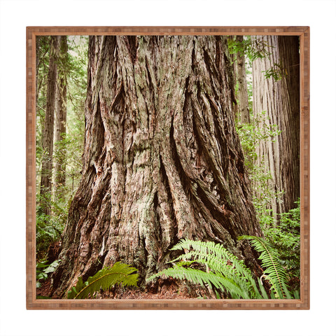 Bree Madden Redwood Trees Square Tray