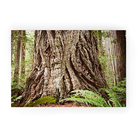 Bree Madden Redwood Trees Welcome Mat