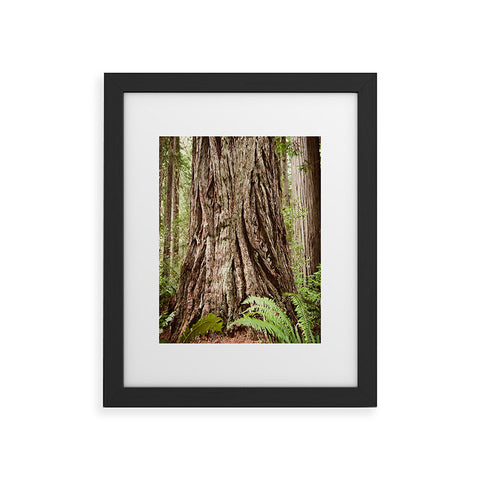 Bree Madden Redwood Trees Framed Art Print