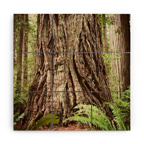 Bree Madden Redwood Trees Wood Wall Mural