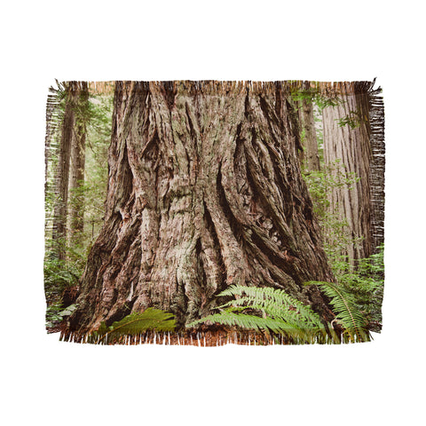 Bree Madden Redwood Trees Throw Blanket