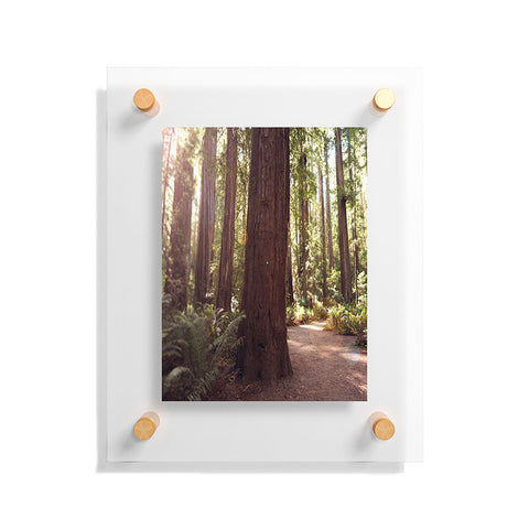 Bree Madden Redwoods Floating Acrylic Print