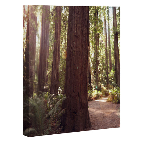 Bree Madden Redwoods Art Canvas