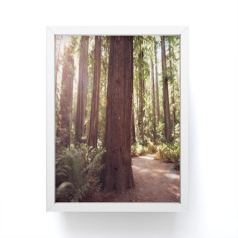 Bree Madden Redwoods Framed Mini Art Print