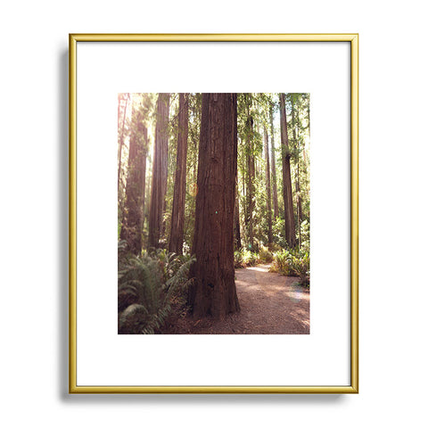Bree Madden Redwoods Metal Framed Art Print