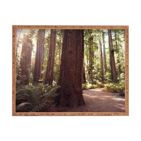 Bree Madden Redwoods Rectangular Tray