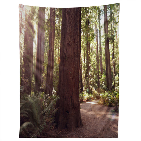 Bree Madden Redwoods Tapestry